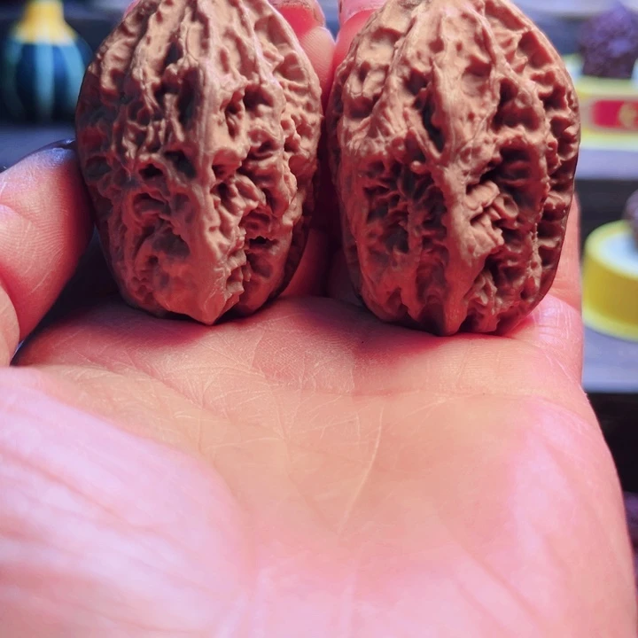 核桃11号车放漏漏漏咯