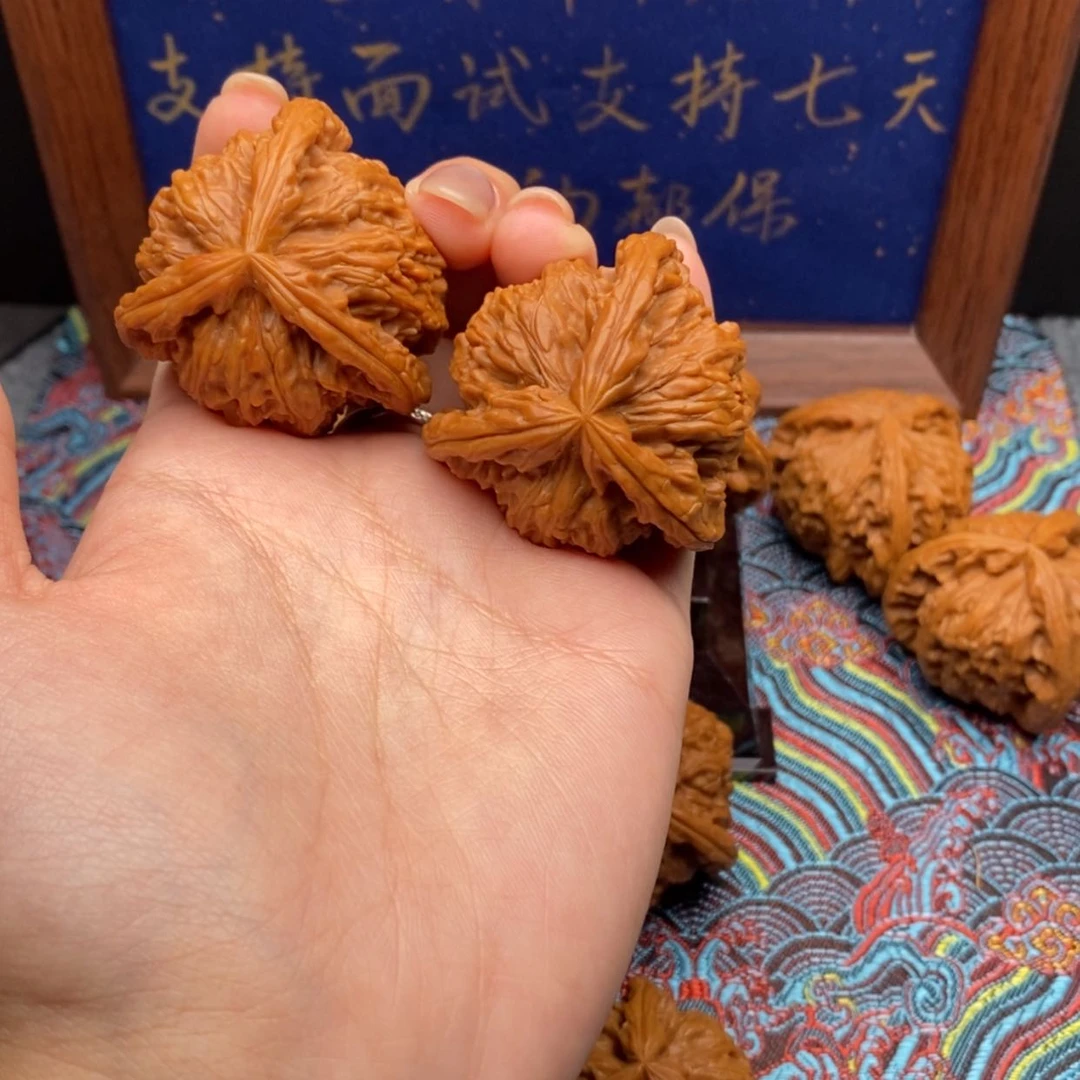 【闪购商品】小*白狮