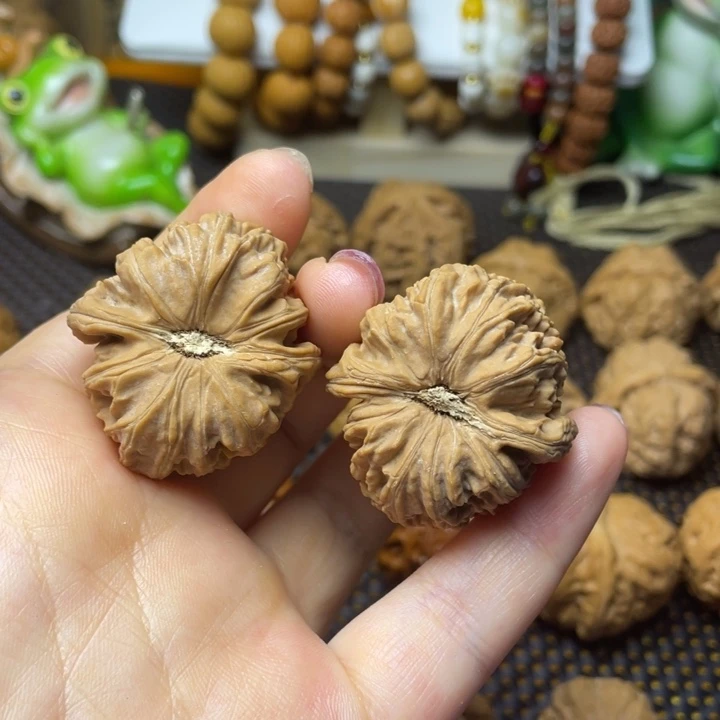 核桃手串/手链狮子36