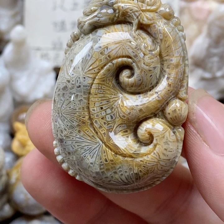 颈饰未镶嵌硅化珊瑚（珊瑚玉）