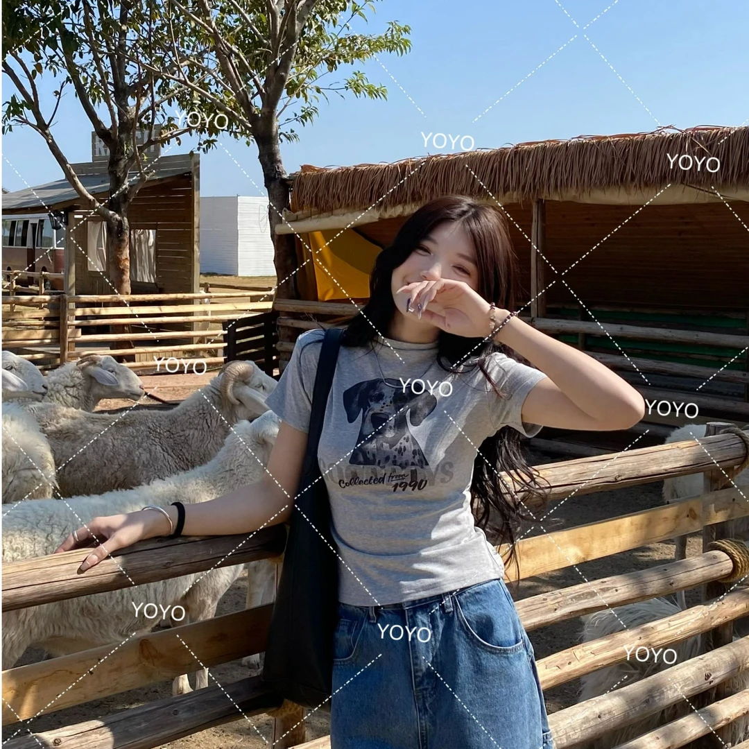 YOYO自制【狗狗T】春夏辣妹立领设计感印花小众短袖女上衣T恤