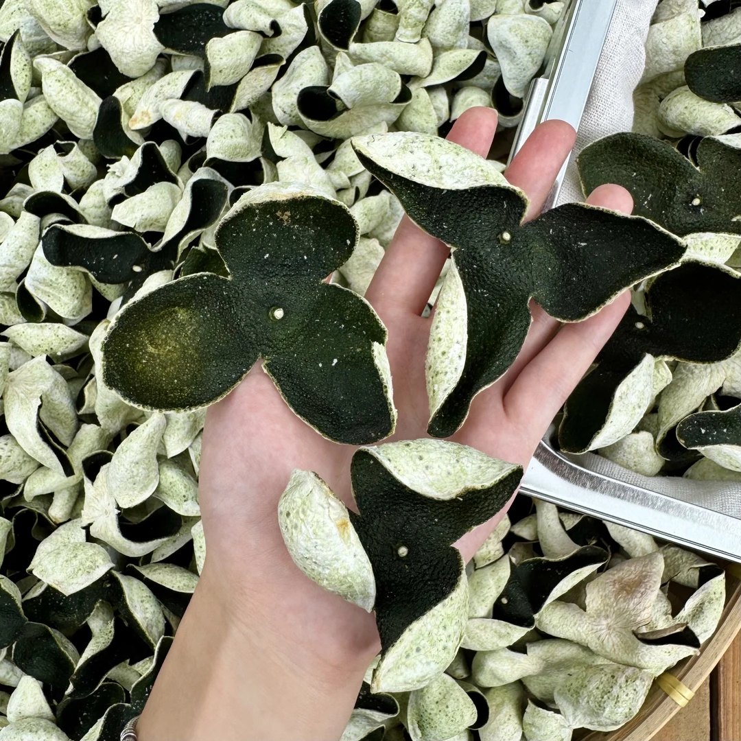 2025年【头采薄荷绿】东甲圈枝剪枝头采青【薄荷香+清甜】