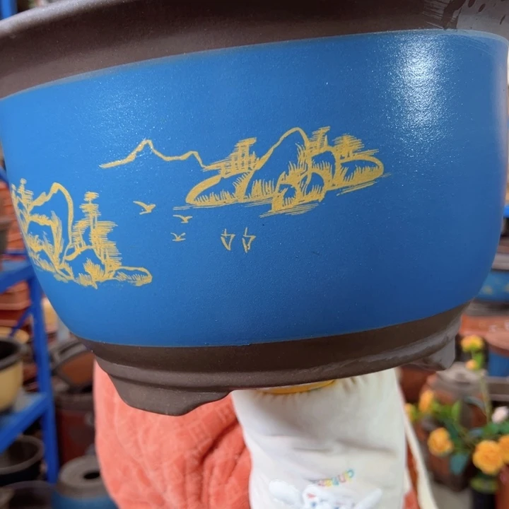 30蓝山花盆花盆花盆