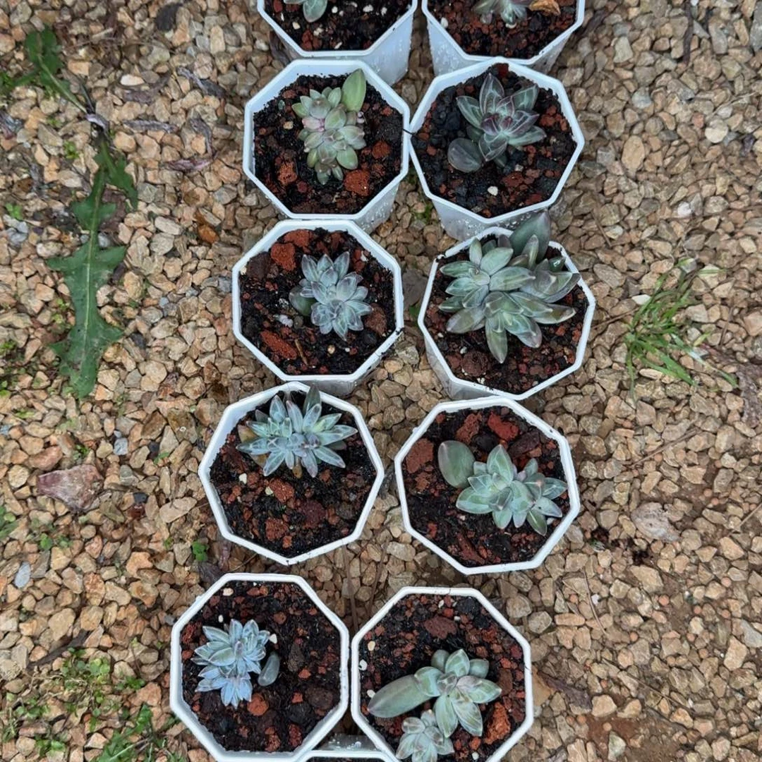 啊啊啊啊啊啊啊啊啊