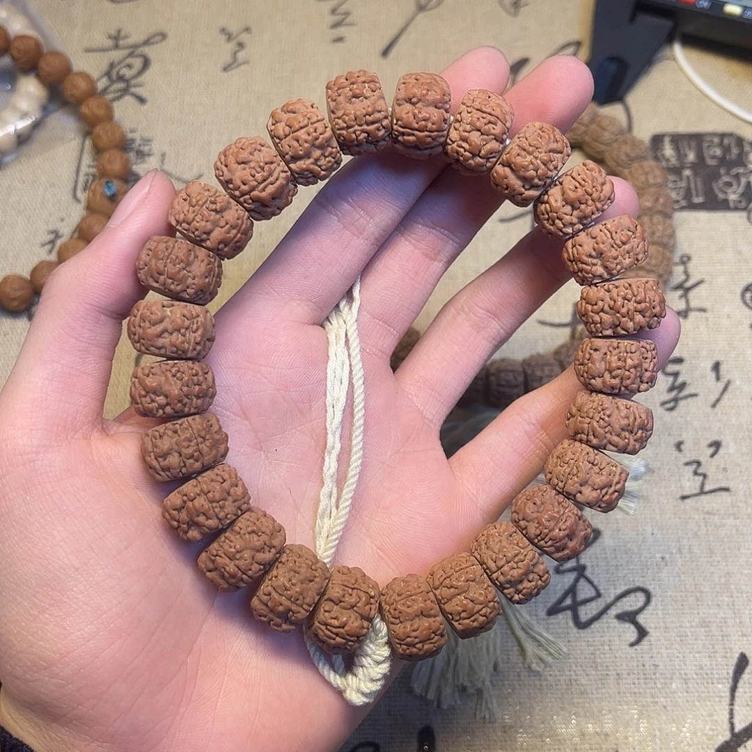 吊坠猴头核桃金刚