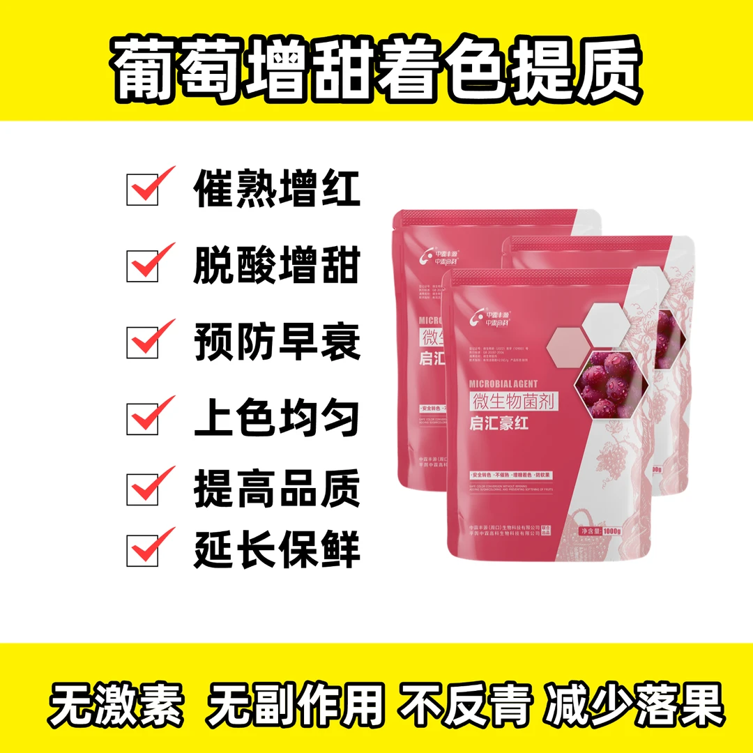 中霖高科启汇豪红葡萄转色专用上色上糖快树势好