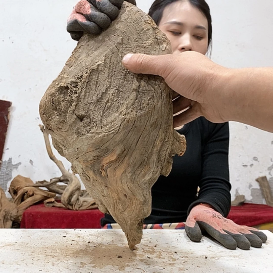 【闪购商品】柏木?***P我们都是好孩子