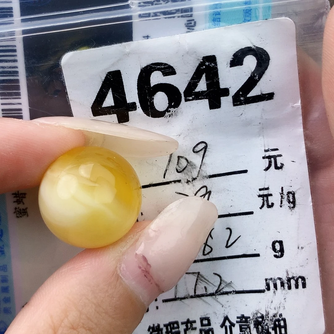 琥珀未镶嵌珠宝奇石17.2植物