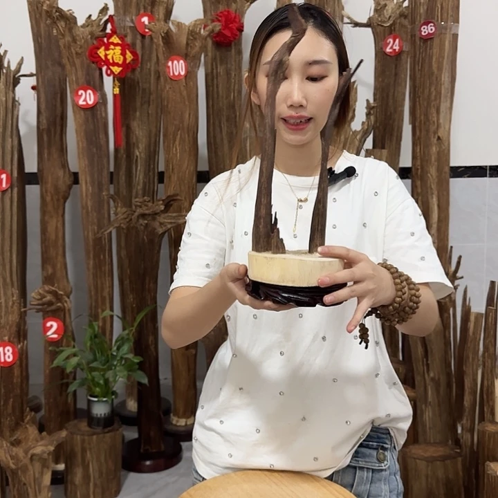 皮***蛇沉香沉香碎屑原材料