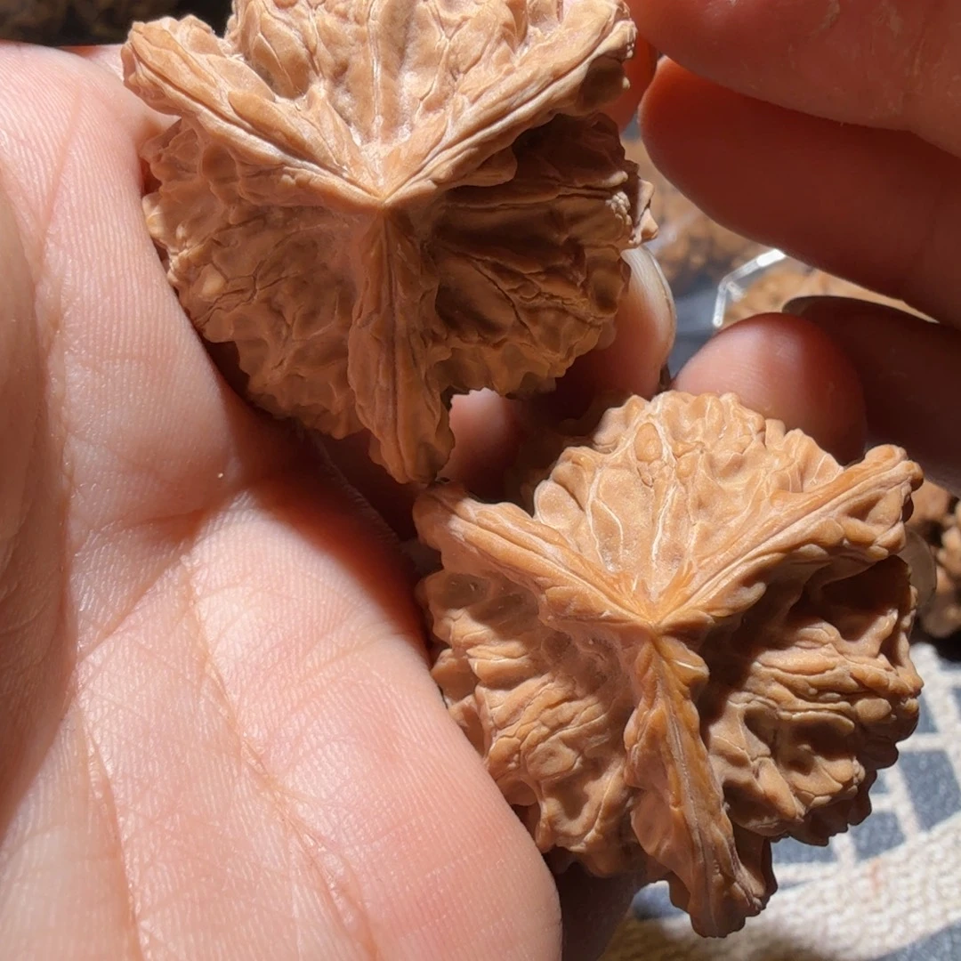 草珠菩提吊坠蓟州奔王