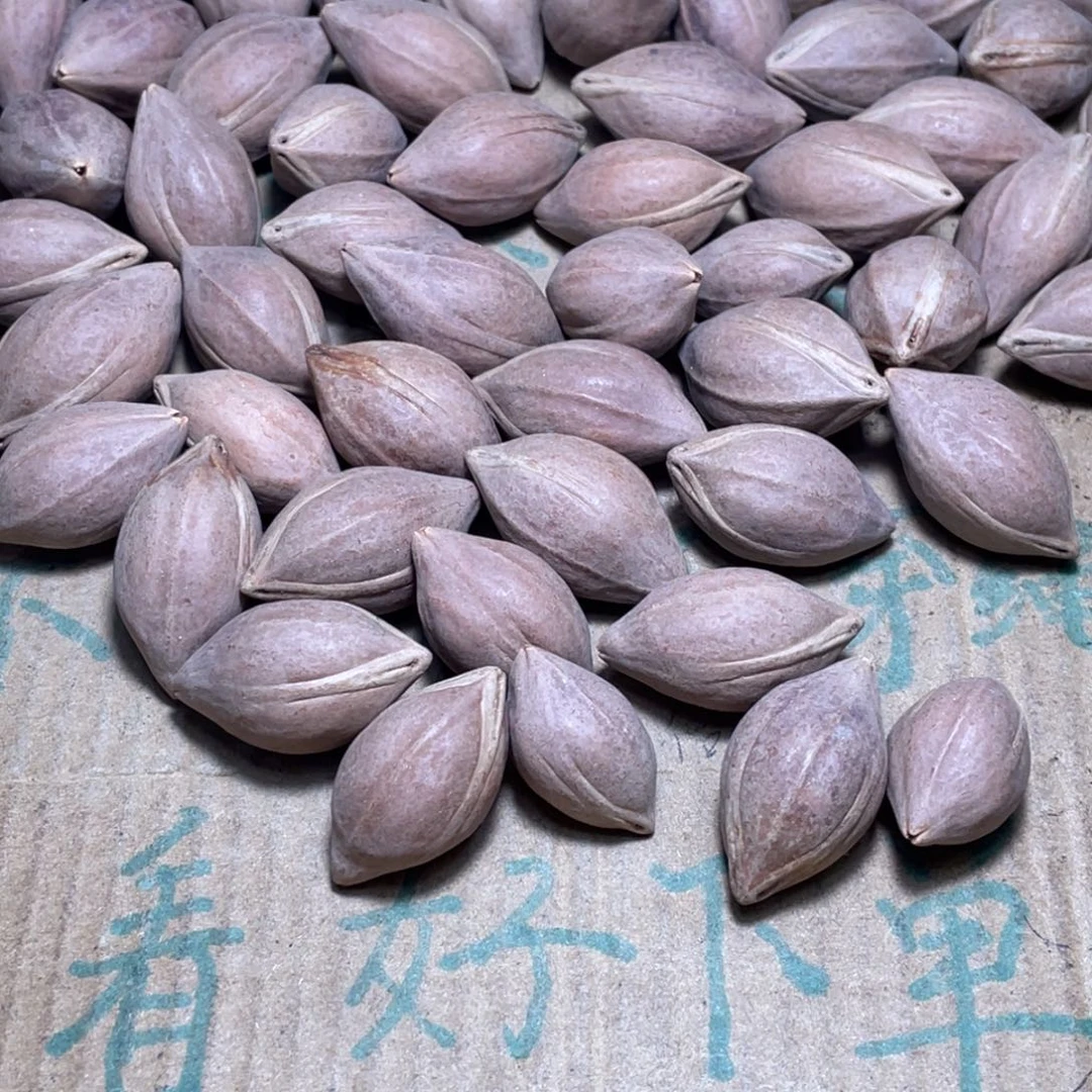 峡***哥橄榄核吊坠不退不换