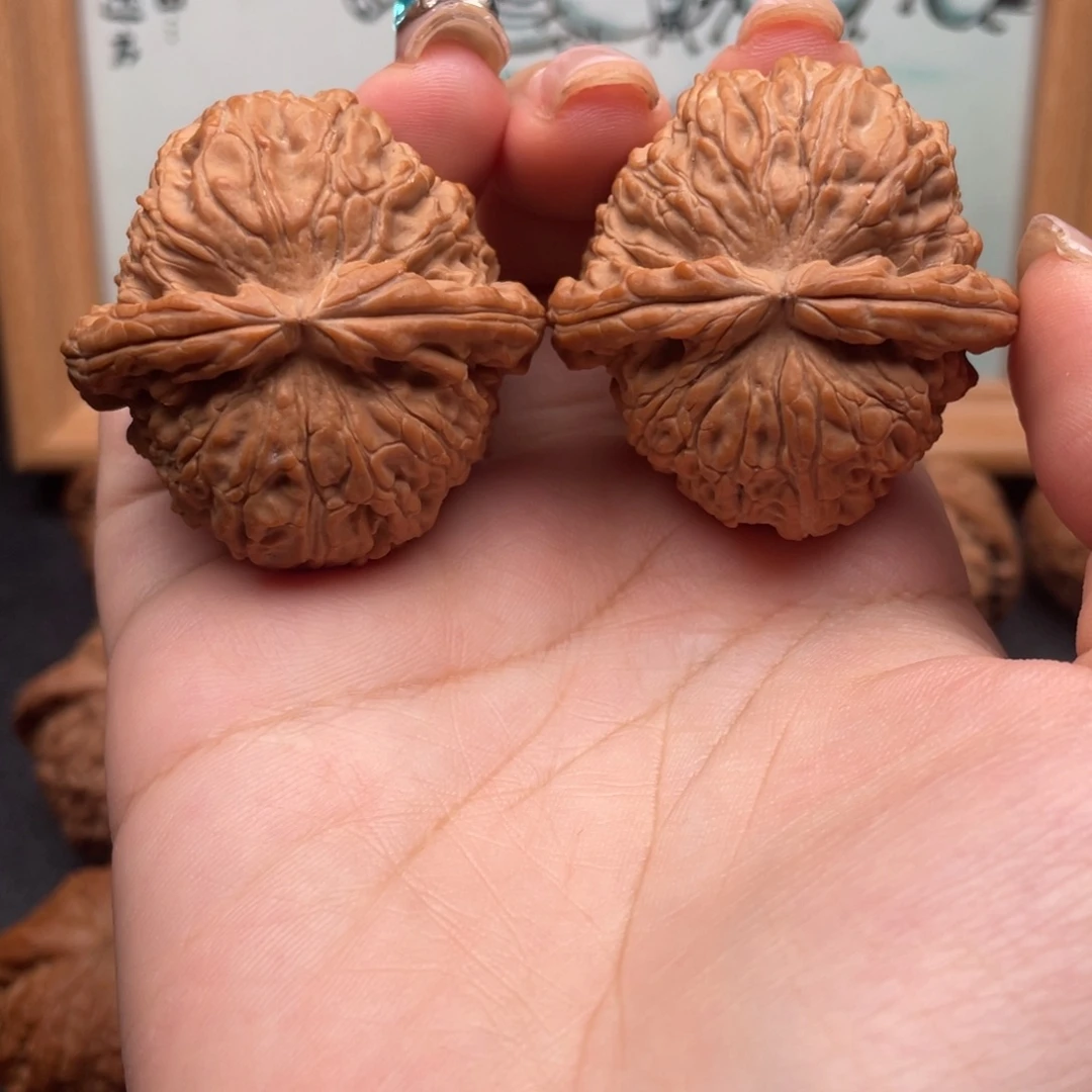 把件文玩核桃40全品白狮子
