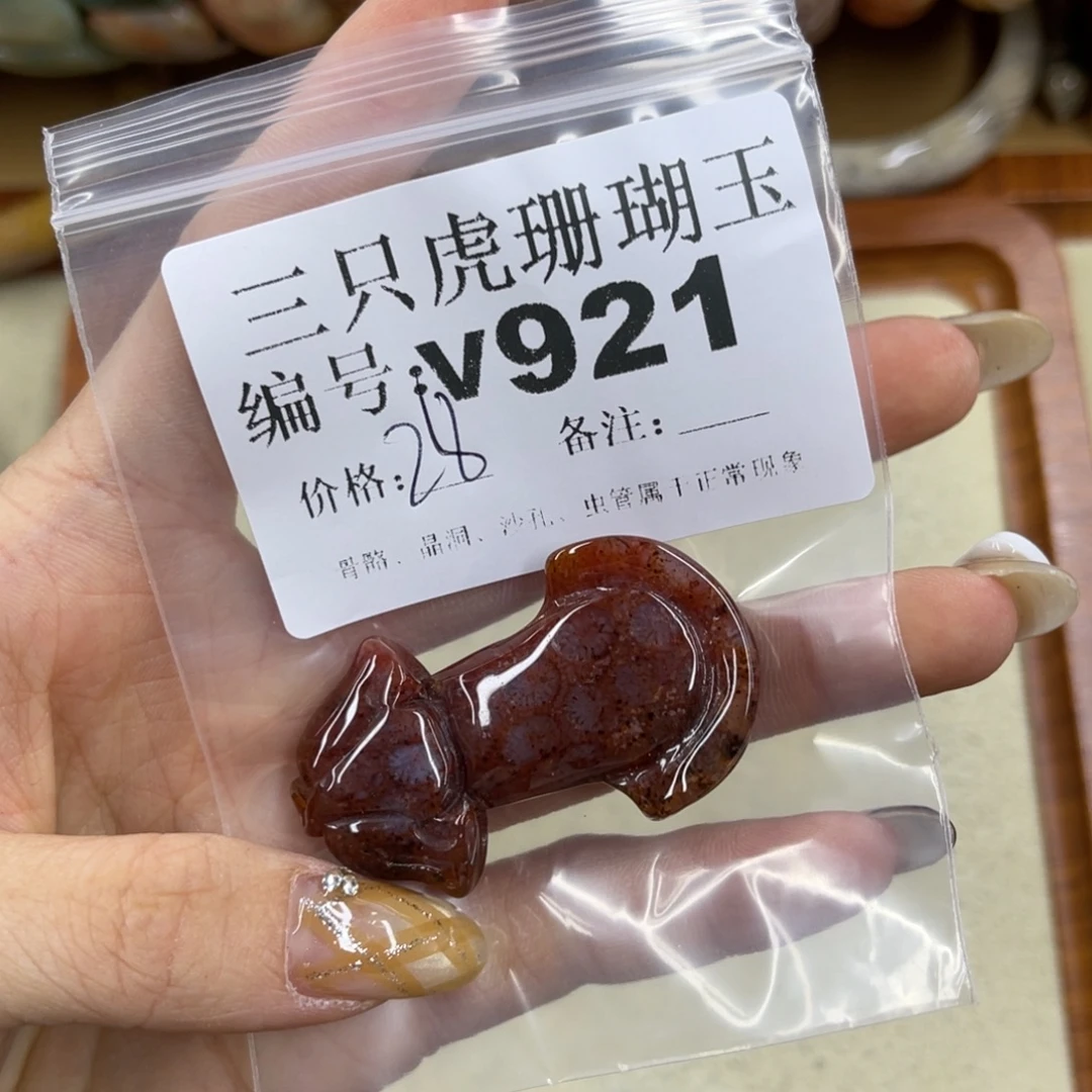 *****硅化珊瑚（珊瑚玉）未镶嵌h