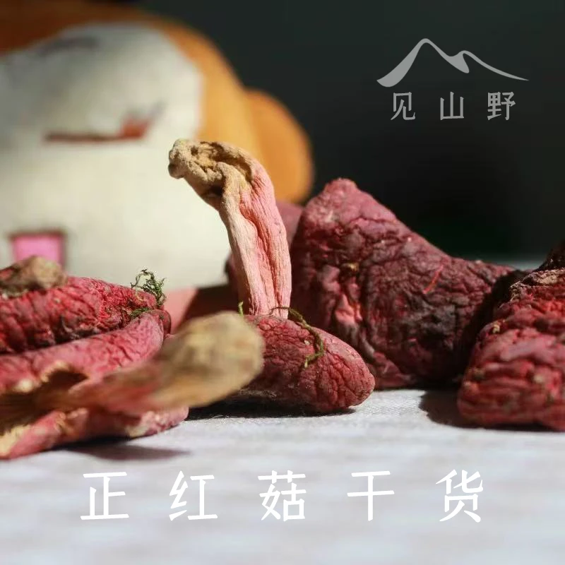 野生红菇正宗收购红菇云南特产煲汤干货香菇山货蘑菇菌菇正红菇