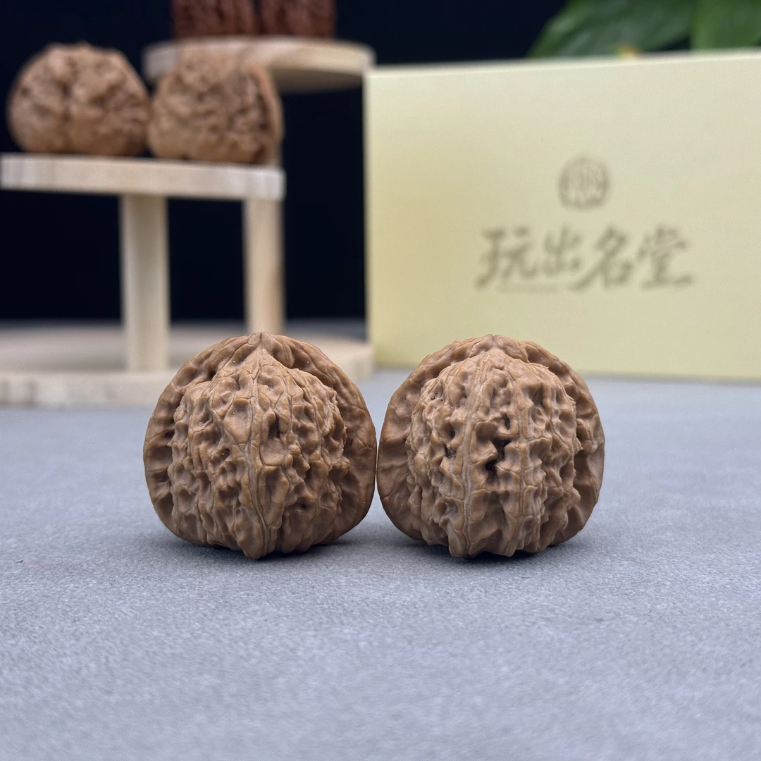 全品无修 蓟县山地白狮子 38/38/36/B-6
