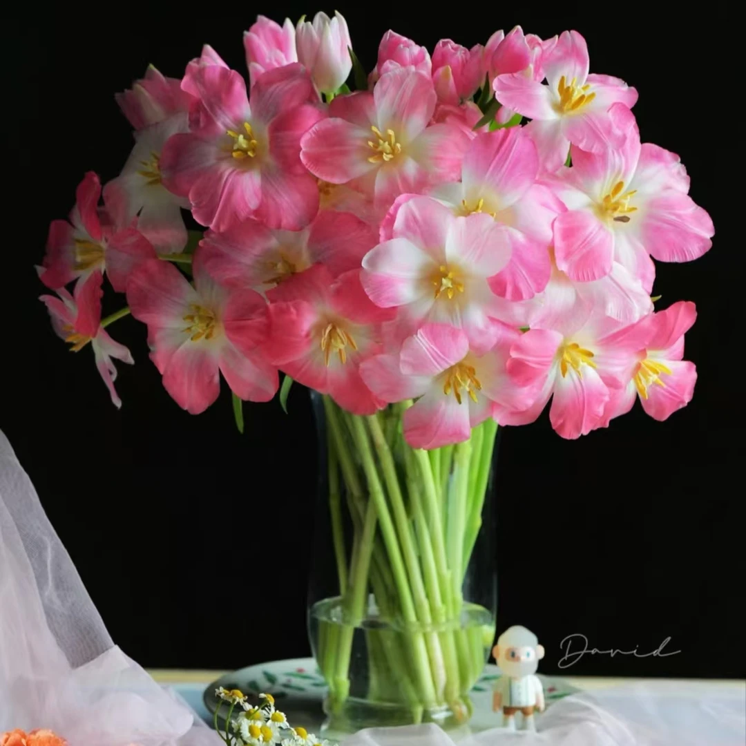 粉狂人郁金香水养鲜切花办公室室内瓶插花桌面装饰简单浪漫自然