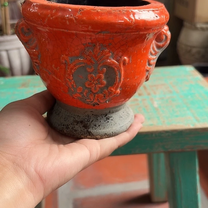 许纯的花房 福利小奖杯