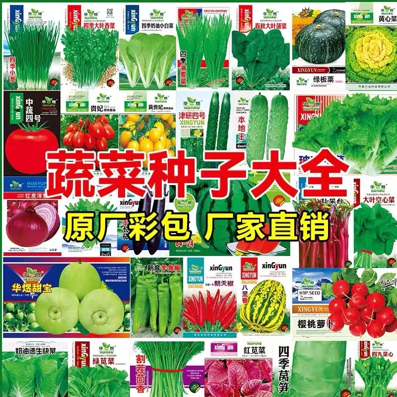 随机应季蔬菜种子一包