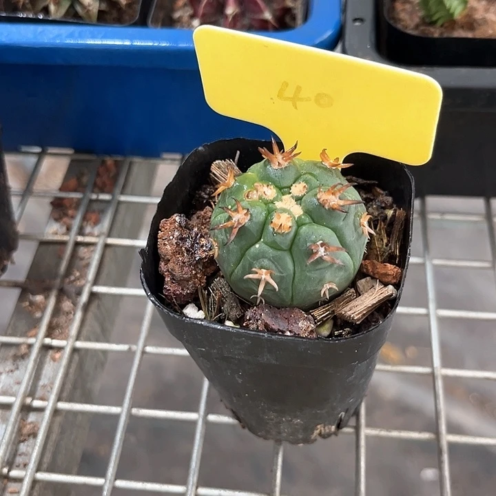 三***聊我也不知道我为什么要这样