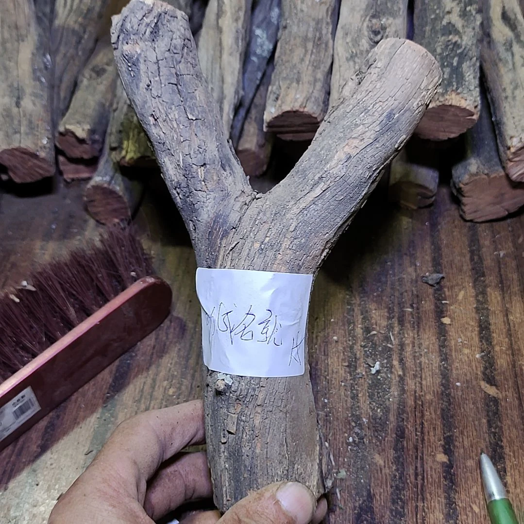 弓***就火琉璃原杈，不保沉水，慎拍！