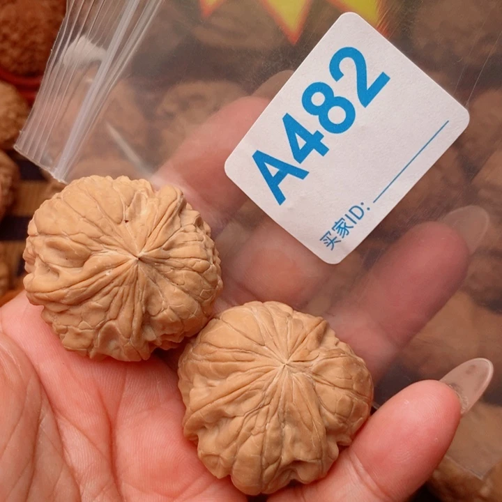 金蟾尊三棱38尺482号微遐