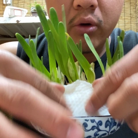 红陶一物一拍所见即所得23