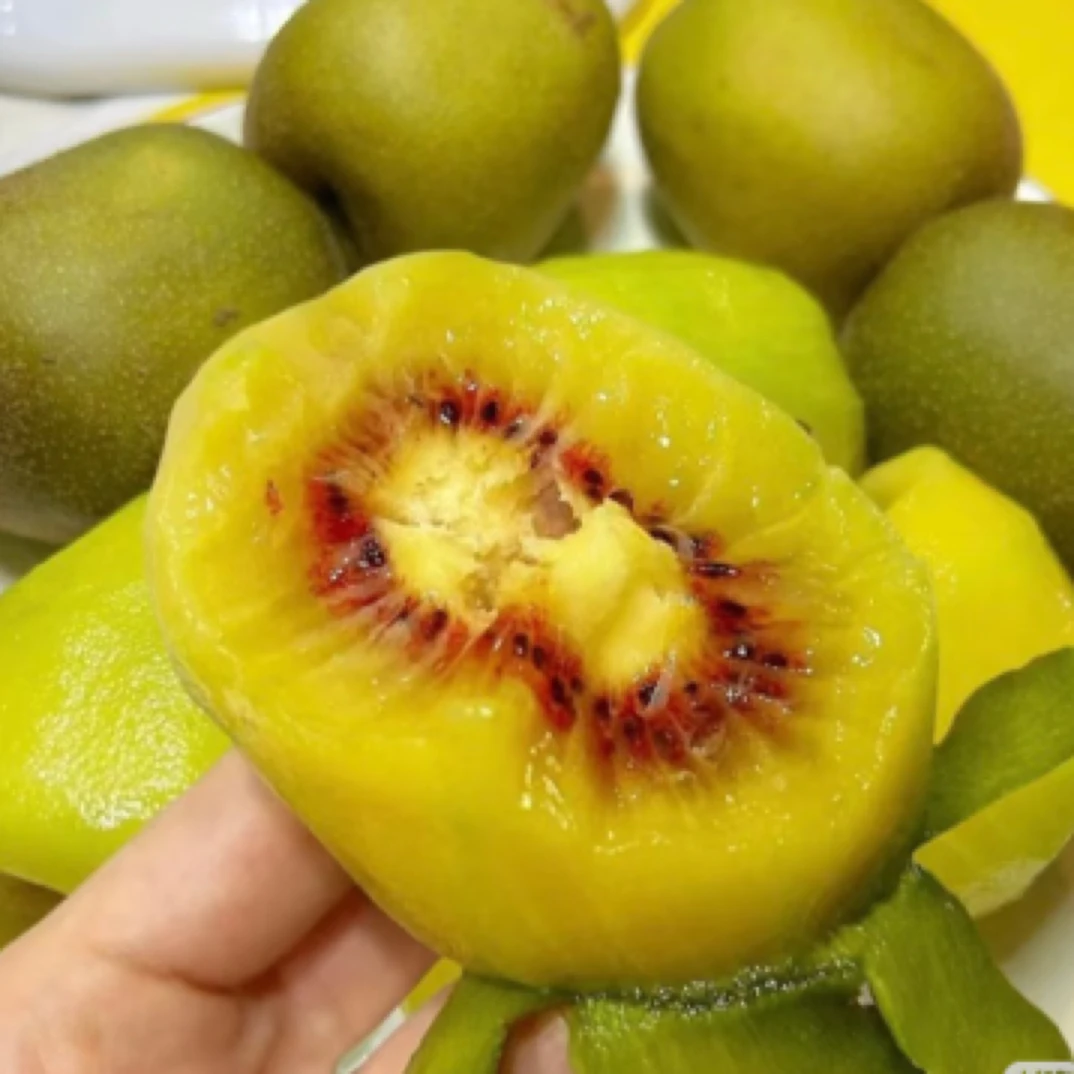 【珠小果】即食红心奇异果6颗 （茄盒）