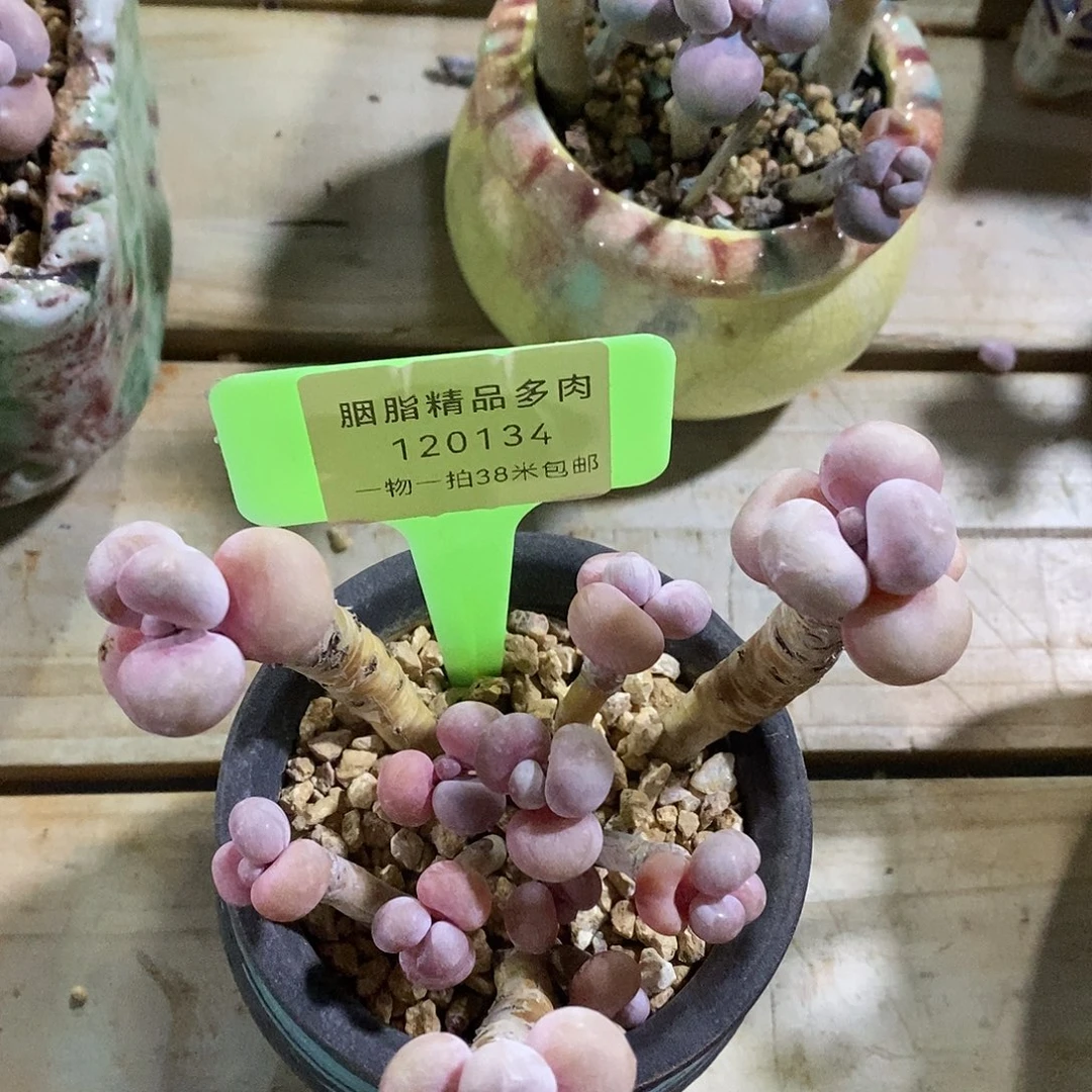 120134从中介利润姐姐姐姐