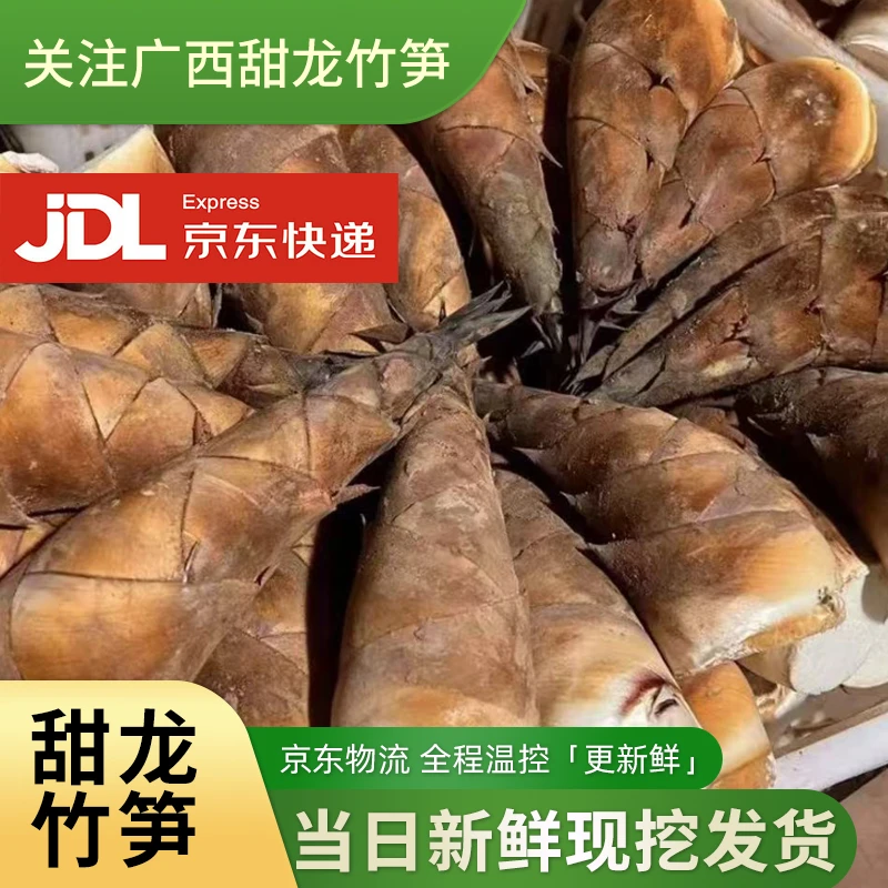 广西当季新鲜水果甜笋生吃脆嫩低卡刺身营养健康控糖轻食马蹄笋