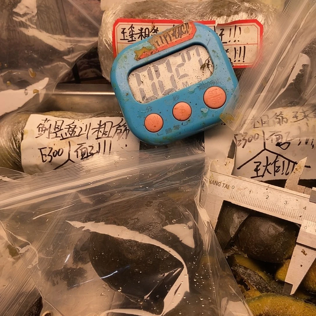 李***顺规划和计划姐姐姐姐和环境