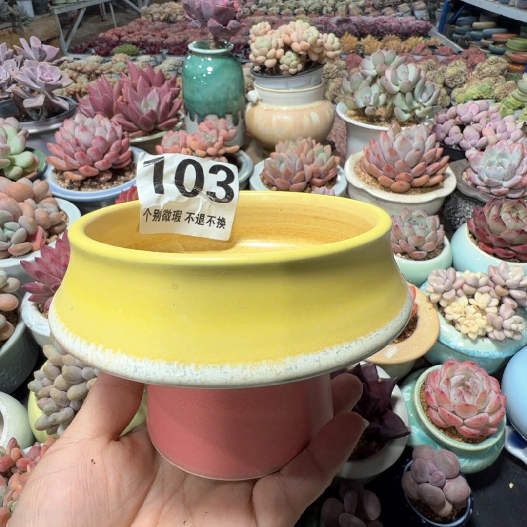 花盆满50发货 内口10