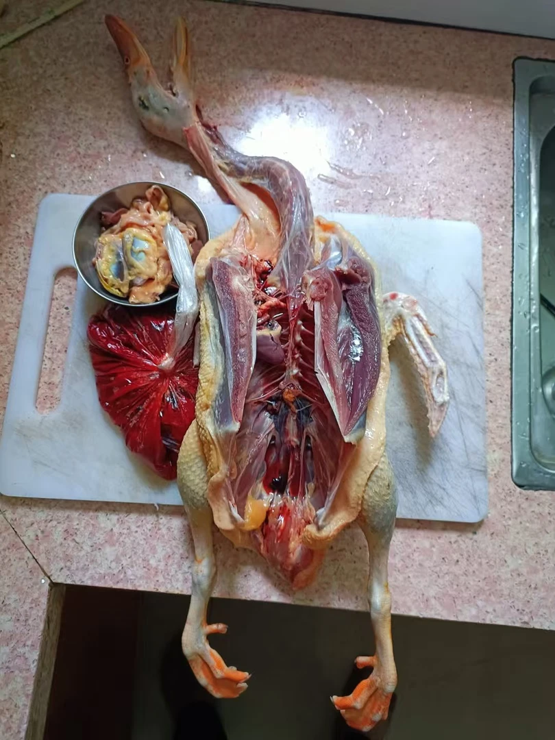 原生态土鸭新鲜原滋原味顺丰冷链真空包装鸭肝鸭子现杀鸭肉生鲜