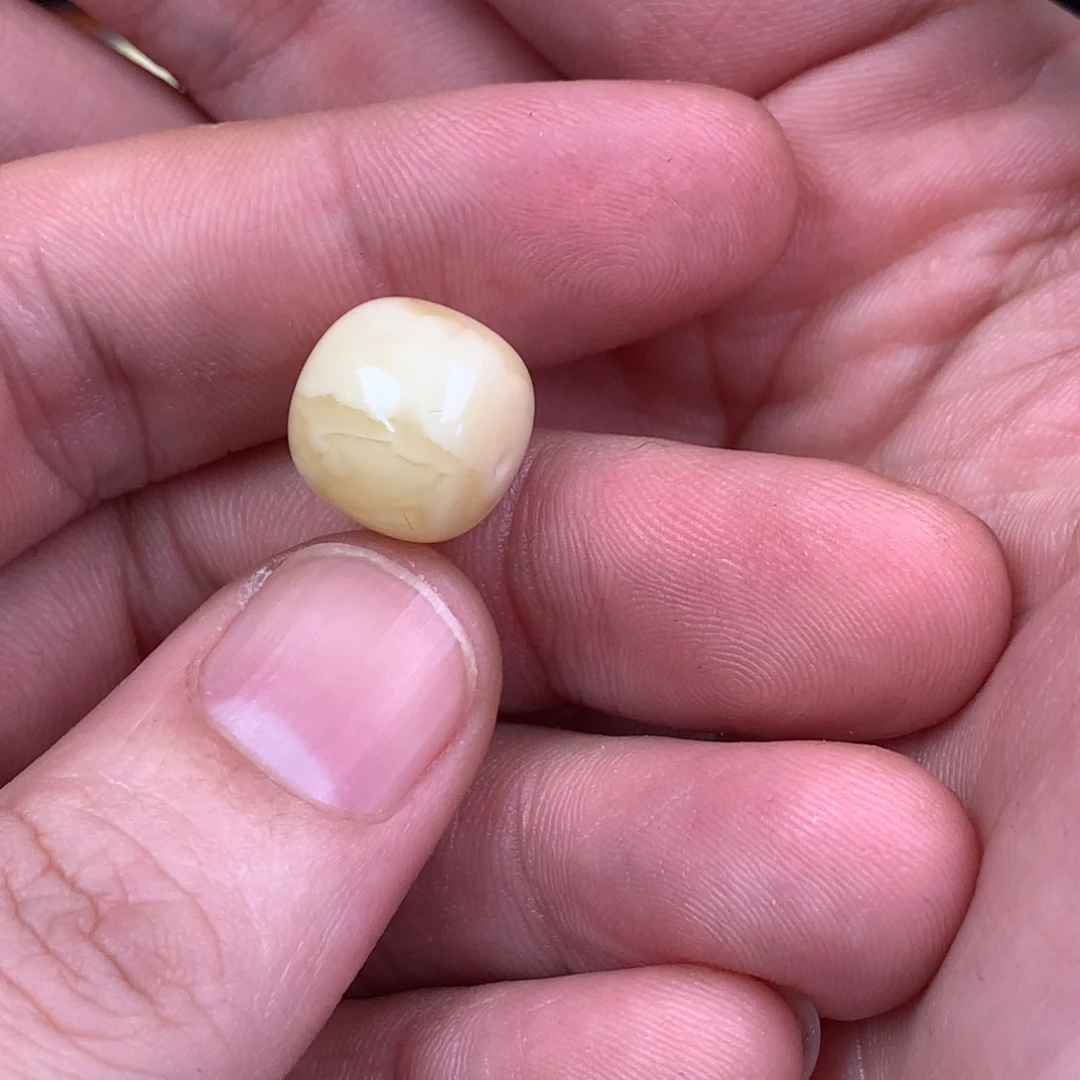 琥珀裸石未镶嵌纵***?蜜蜡