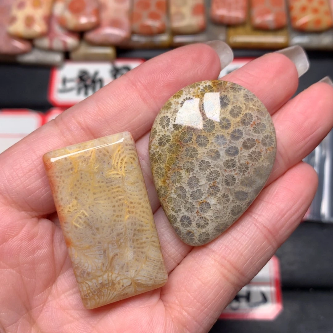 【闪购商品】未镶嵌颈饰硅化玉林*雨