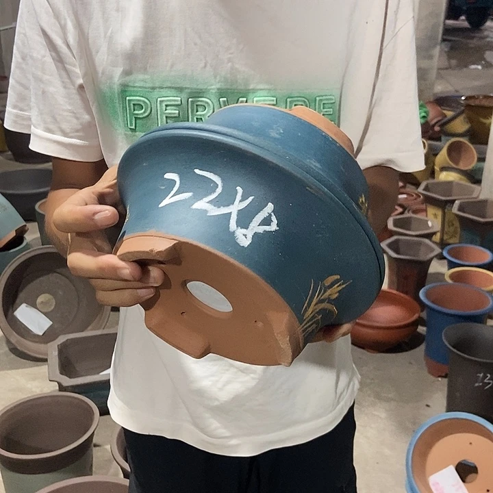 22小一对花盆花盆花盆