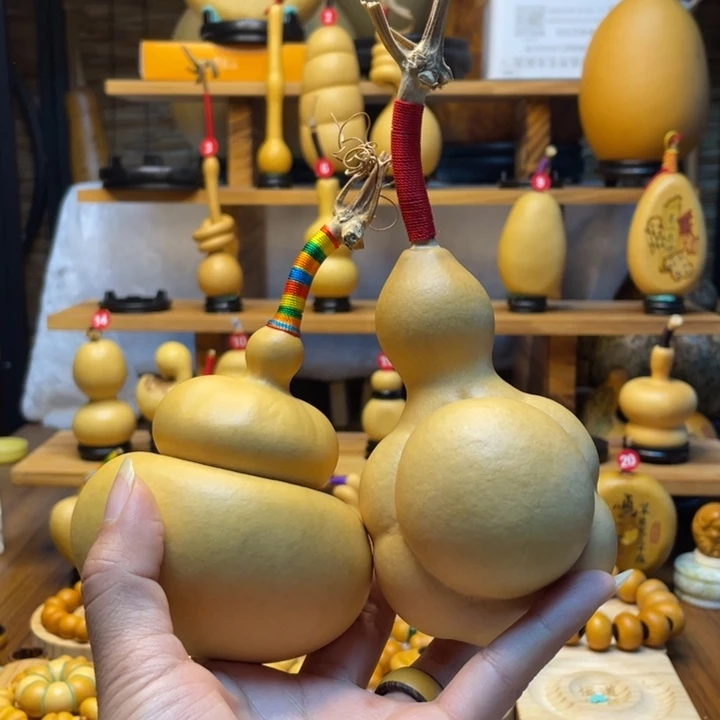 y***i天然葫芦自然生长