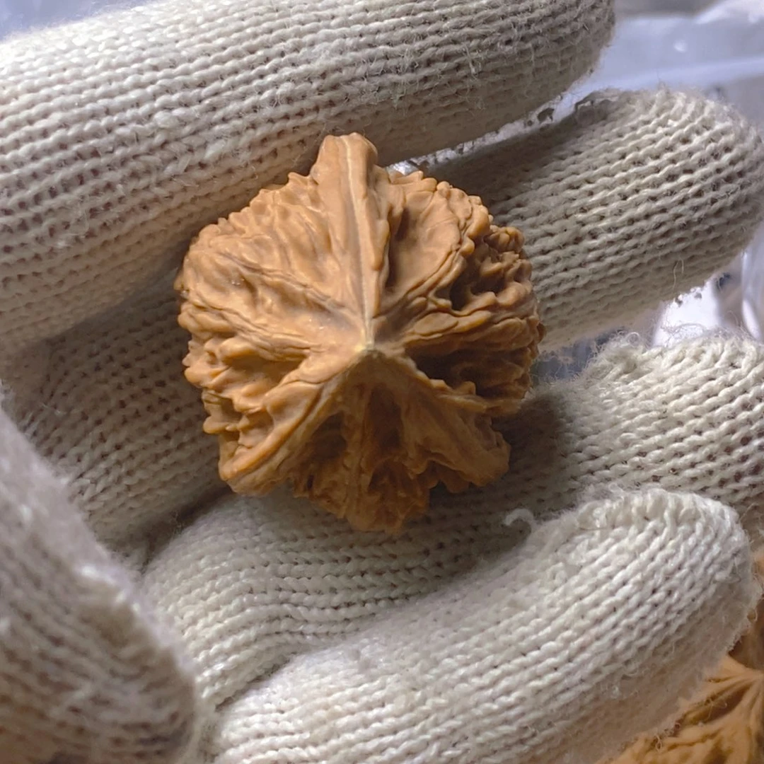 挪***林手串/手链核桃虚尖