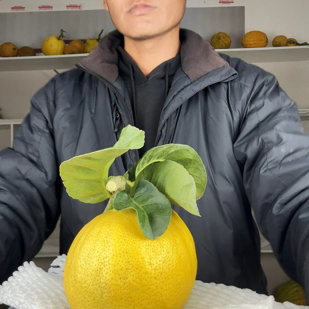 改***的香水柠檬云南高山大香橼
