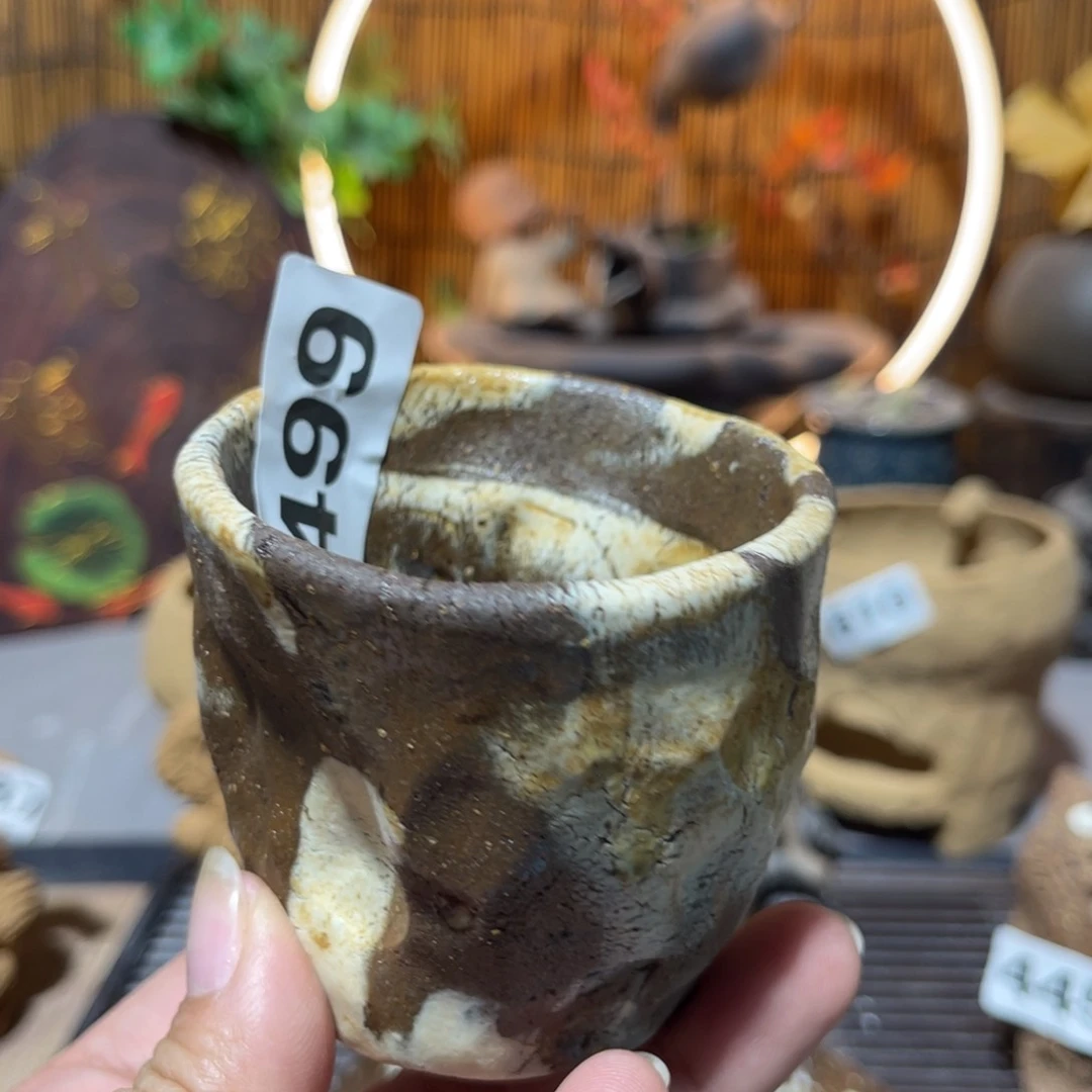 木村信弘柴烧保平