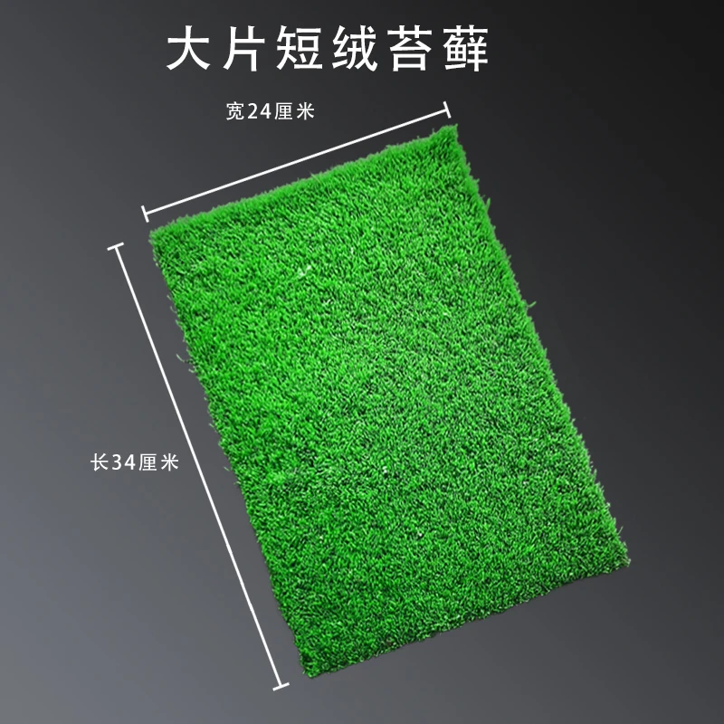 鲜活纱布短绒苔藓微景观盆景制作材料铺面雨林水陆缸造景植物