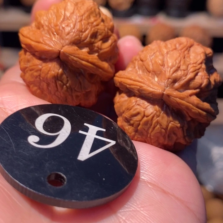 木质类粗筋金蟾舍利37尺寸