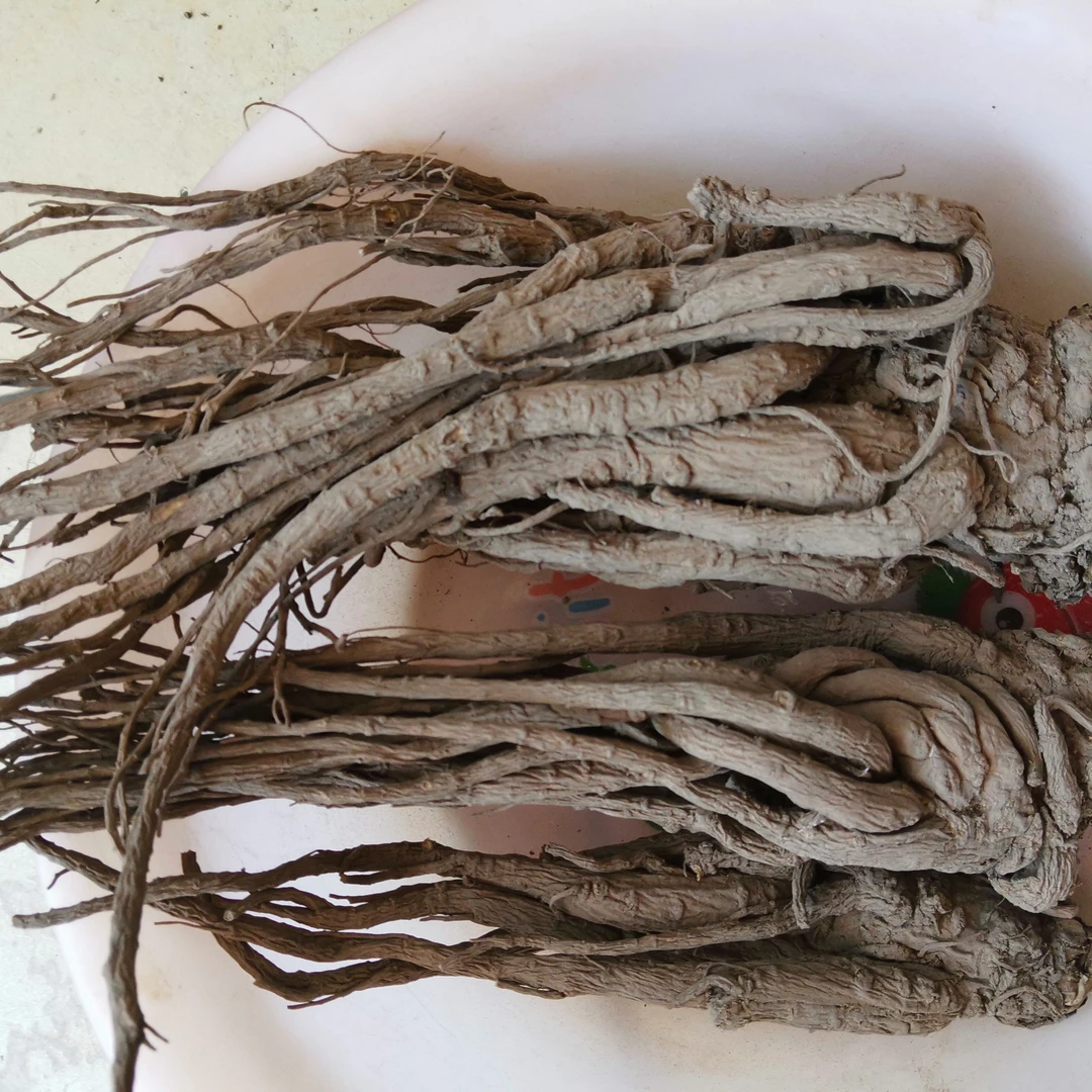 甘肃定西当归干货可煲汤泡水煮粥的滋补食材