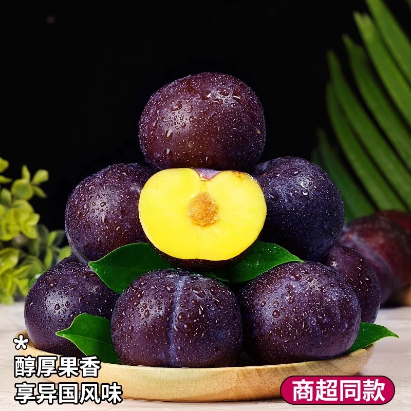 当季现摘黄肉黑布林李子顺丰包邮黑金刚恐龙蛋脆李子蜂糖新鲜水果