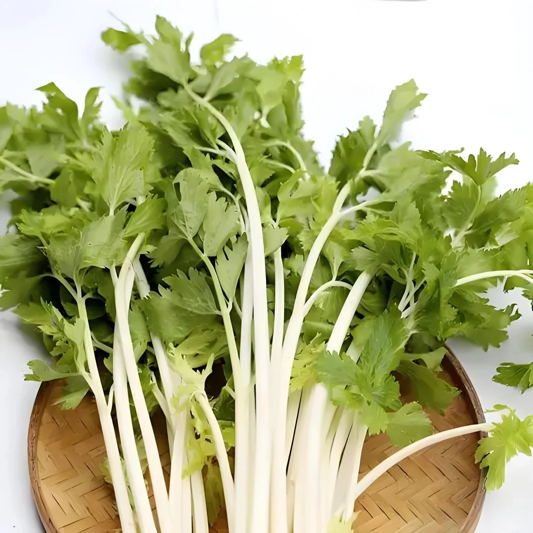 新鲜白芹菜：350g