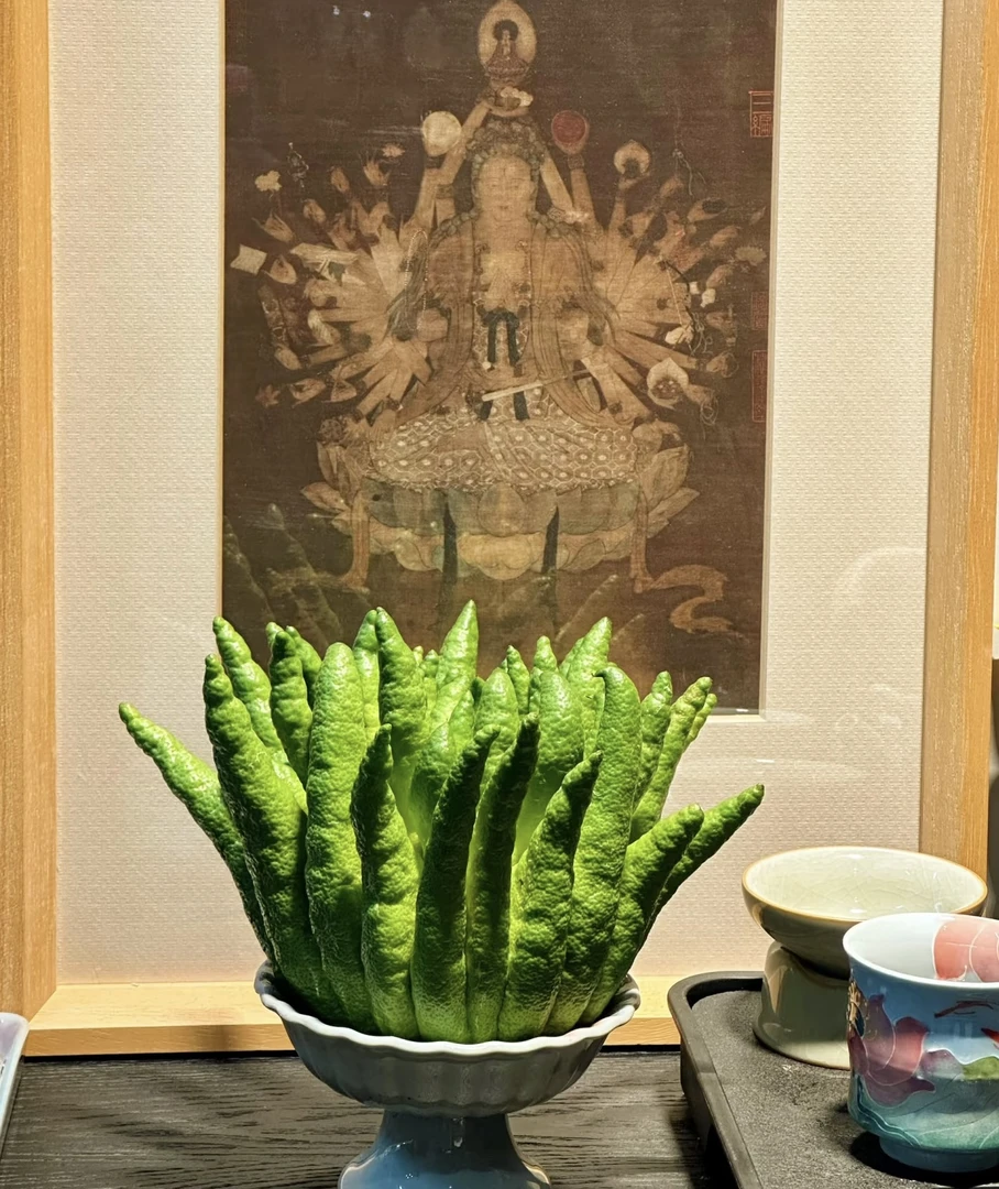 【精品佛手柑一物一拍】新鲜佛手柑观赏客厅办公室车载植物香薰5