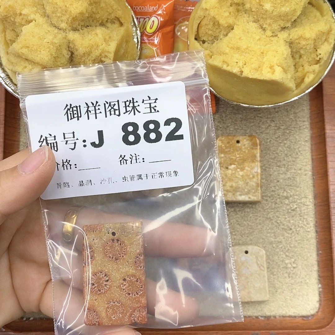 硅化珊瑚（珊瑚玉）颈饰未镶嵌L***理