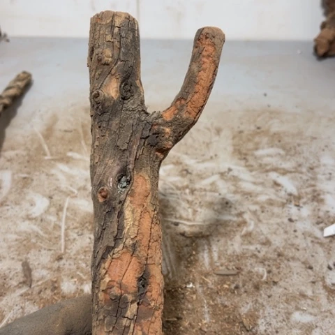 大果紫檀（缅甸花梨）瑤**山