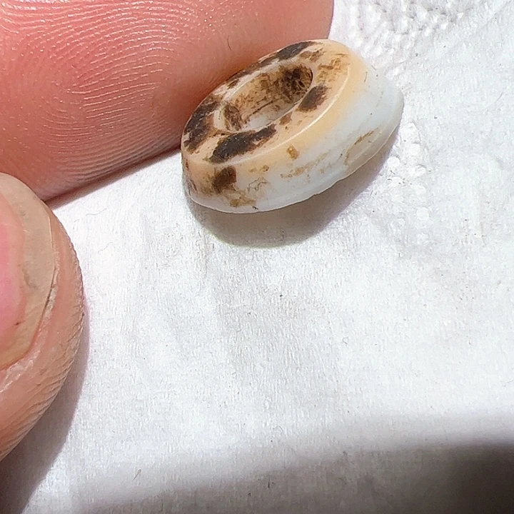 香榧木在家了一个小时