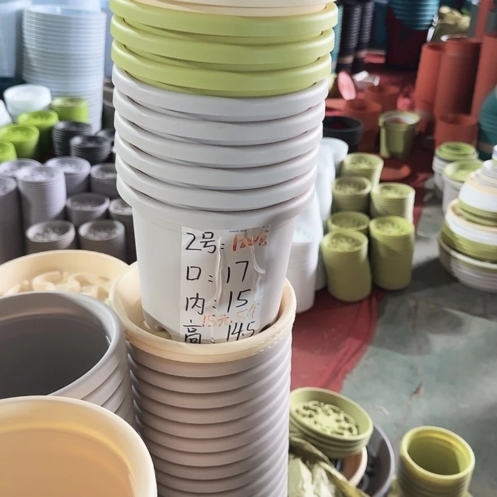 四季2#灰白6个无托