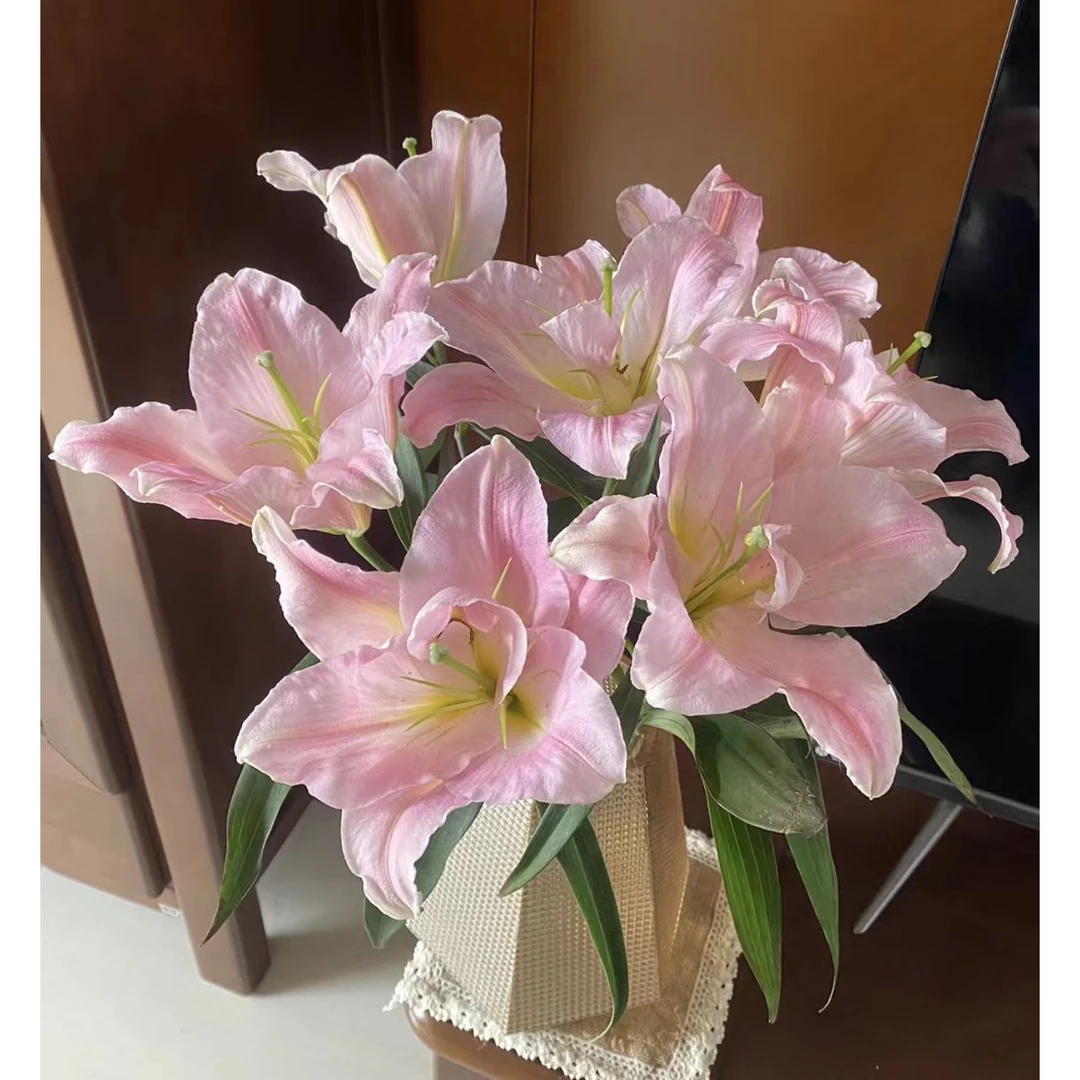 YZ【粉公主香水百合】全场任意满两单鲜花升级快递